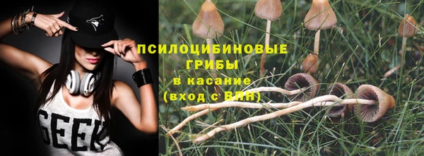 apvp Горно-Алтайск