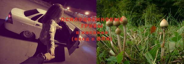 винт Горнозаводск